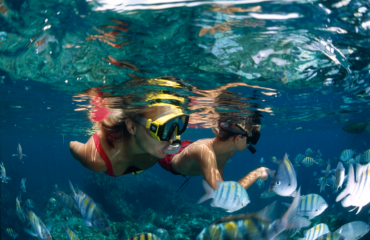 Snorkeling Underwater in St. John